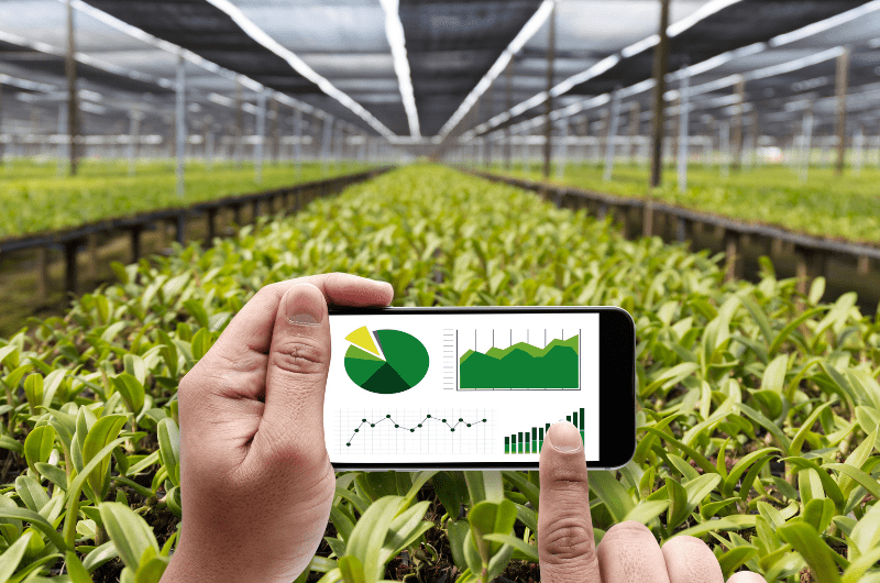 greenhouse, person holding graph