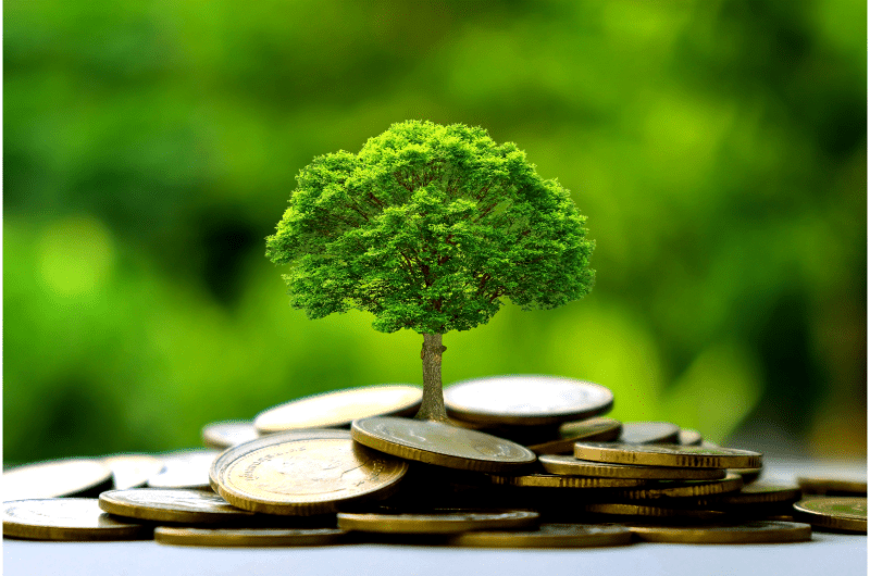 Pile of coins with a mini tree growing out of it 